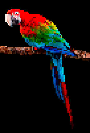Bird pixel art. Parrot pixel illustration isolated on black background.のイラスト素材