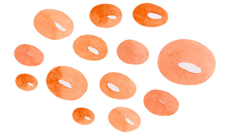 Watercolor orange circles on a white background. watercolor illustration.の写真素材