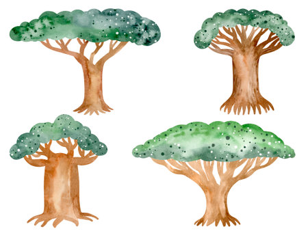 Baobab. symbol of Africa. Tree watercolor elements set. Colorful and beautiful picture. African illustrations collection element. isolated object on a white background.の写真素材
