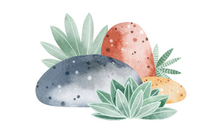 Watercolor illustration of pebbles and succulents on white backgroundの写真素材