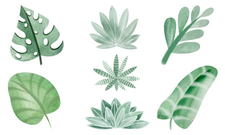 green tropical leaves. Set of watercolor cartoon elements of leaves, plants. Colorful and beautiful picture. isolated objects on a white background.の写真素材
