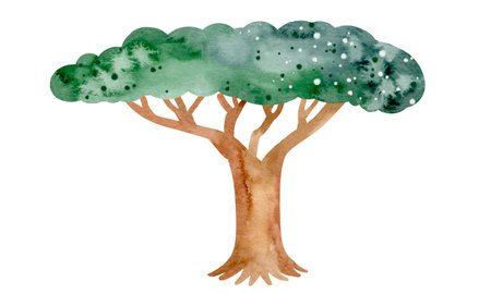 Baobab. symbol of Africa. Tree watercolor elements set. Colorful and beautiful picture. African illustrations collection element. isolated object on a white background.の写真素材