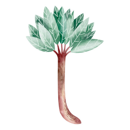 Watercolor tree isolated on white background. Hand drawn watercolor illustration.の写真素材