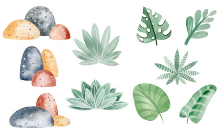 Set of watercolor tropical leaves and stones isolated on white background.の写真素材