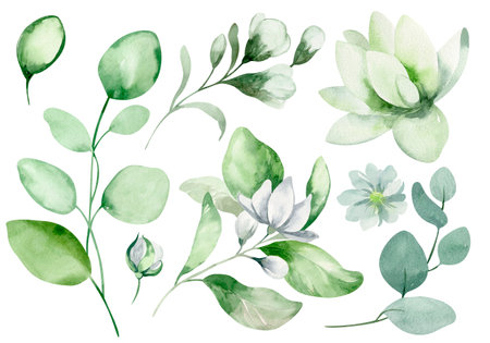 Watercolor set of green leaves and flowers. hand drawn illustration.の写真素材