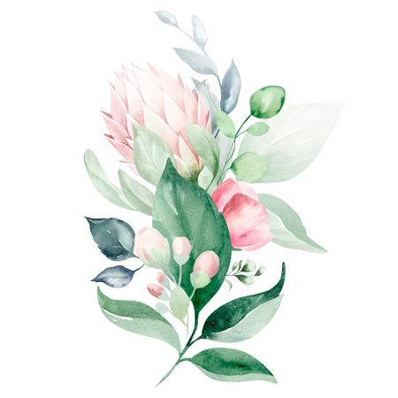 Beautiful vector image with nice watercolor protea flower bouquetの写真素材