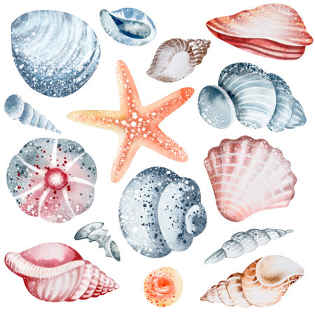 Set of watercolor shells isolated on white background. Hand drawn illustration.の写真素材