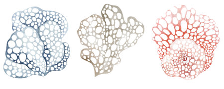 Set of abstract watercolor stains. Vector illustration for your design.の写真素材