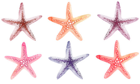 Set of starfish isolated on white background. Watercolor illustration.の写真素材