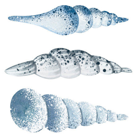 Set of sea shells isolated on white background. Watercolor illustration.の写真素材