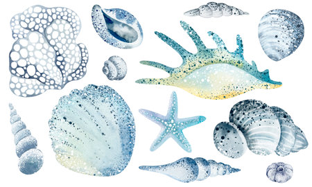Set of watercolor seashells and starfish, hand drawn illustrationの写真素材