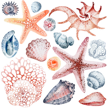Watercolor set of seashells and starfish isolated on white backgroundの写真素材