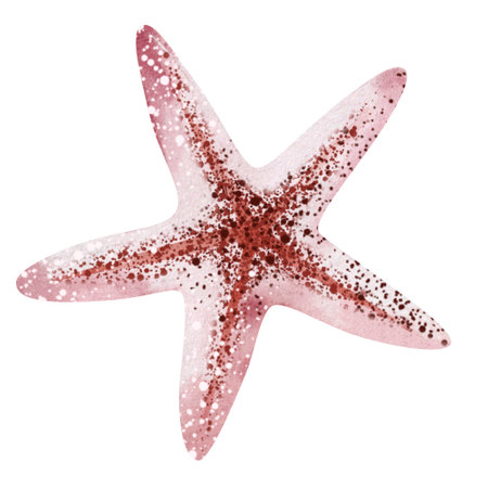 Watercolor starfish isolated on white background. Hand drawn illustration.の写真素材