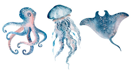 Set of jellyfish and octopus isolated on white background. Vector illustration.の写真素材