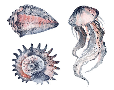 Set of watercolor jellyfish and seashells. Hand drawn illustrationの写真素材