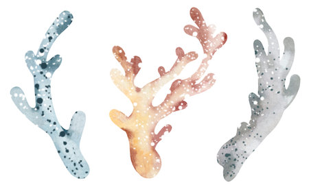 Watercolor coral set on white background. Hand painted underwater illustration.