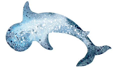 Watercolor illustration of a dolphin on a white background. Hand drawn illustration.の写真素材