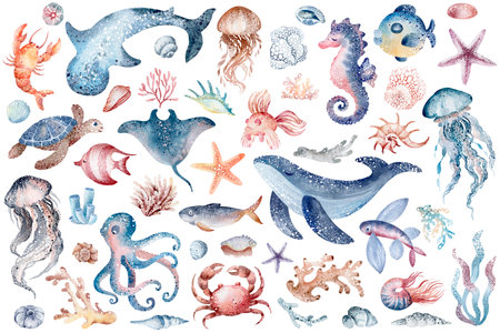 Watercolor sea animals set. Hand drawn mermaidpus, jellyfishpus, fish, starfish, jellyfish, seaweed.の写真素材