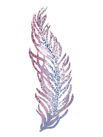 Watercolor hand painted feather. Isolated on a white background.の写真素材
