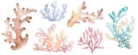 Watercolor coral set on white background. Hand drawn underwater illustration.の写真素材