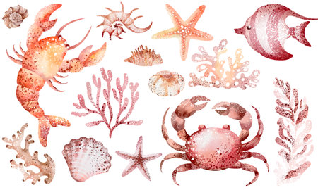 Set of hand drawn watercolor illustrations of sea animals and coralsの写真素材