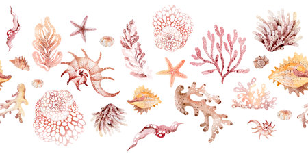 Marine seamless border of underwater marine animals, corals, plants, shells. Marine inhabitants of the underwater world. Marine border on white backgroundの写真素材