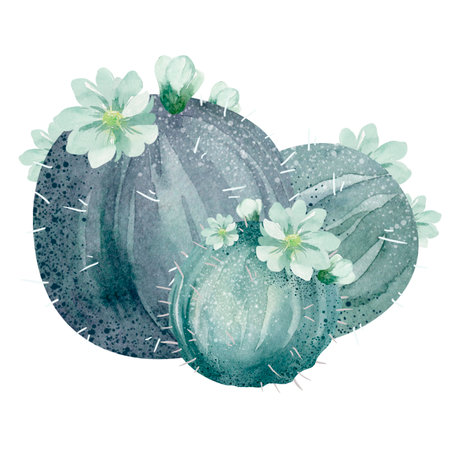 Watercolor cactus with flowers. Hand drawn illustration isolated on white backgroundの写真素材