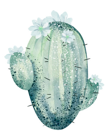 Watercolor cactus with flowers. Hand drawn illustration isolated on white backgroundの写真素材