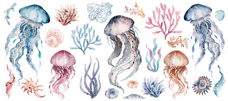 Underwater sea jellyfish on an isolated background. Watercolor set elements of the undersea world. Sea animals are hand drawn. Ocean fauna clipart for kids design.の写真素材