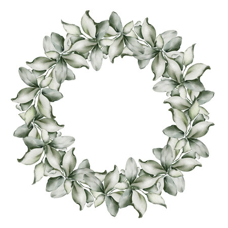Green Wreath with leaves on isolated background. Watercolor Drawing of round Frame for wedding greeting cards or invitations. Botanical decoration for holiday and Event Invitations. Herbal chaplet.の写真素材