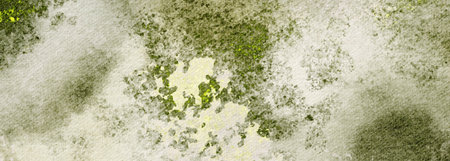 Green Watercolor abstract background in Grunge Style. Organic nature pattern and freshness colors with stains and rough brushstrokes. Manual smoky banner in monochrome for brochures and posters.の写真素材