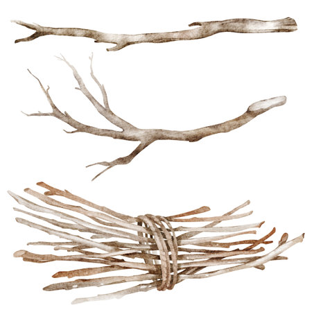 Watercolor illustration of tied wooden sticks and twigs. Rustic background featuring chopped and seasoned firewood for eco-friendly or rural lifestyle, projects. Perfect for creative decor concepts.の写真素材