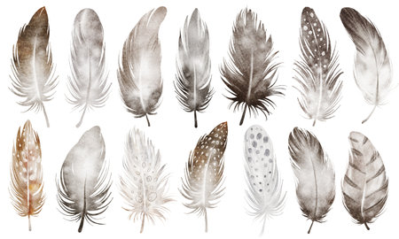 Watercolor set of bird feathers. Hand-drawn brown owl feather clip art on a white isolated background. Vintage feather bunch with soft plumage, perfect for boho and natural-themed prints.の写真素材