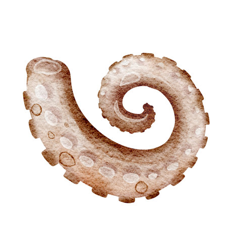 Watercolor illustration tentacles octopus on white background. Hand drawn painting of design seafood. Marine or ocean undersea life. Drawing separate element sea creatures for holiの写真素材
