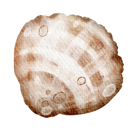 Watercolor illustration seashell on white background. Hand drawn painting of wild underwater conch. Marine or ocean undersea life. Drawing shellfish for marine life holiday celebraの写真素材