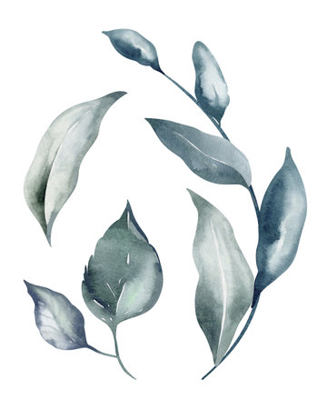 Set of blue leaves on an isolated background. Watercolor botanical vegetation leaf set hand drawn. Herbal clipart of fresh plants. Exotic assortment of foliage.の写真素材
