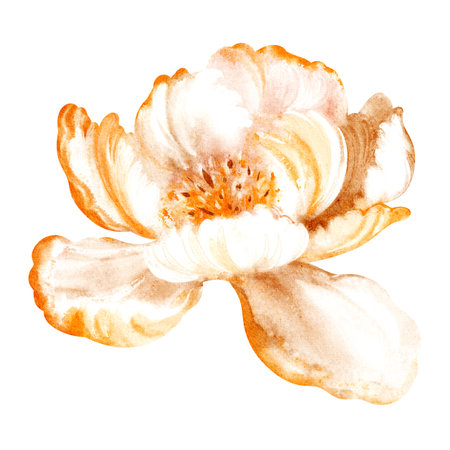Watercolor illustration of a delicate bud peony flower in bloom. Hand-drawn floral design with soft petals and bright colors. Perfect for wedding invitations, birthday cards, or summer decor.の写真素材