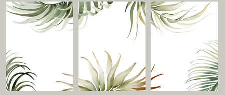 Tropical watercolor foliage poster set. Hand drawn botanical leaves, palm branches, and exotic plants. Illustration design for wall art, packaging, poster, wallpaper, interior.の写真素材