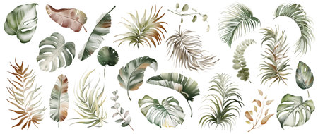Watercolor tropical greenery clipart set with banana leaves, palms, and monstera. Hand painted exotic foliage and botanical elements. Perfect for wedding decor, design, and invitations.の写真素材