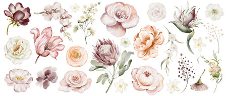 Watercolor floral collection with roses, daisies and leaves. Hand drawn spring bouquets and botanical elements. Perfect for greeting cards, invitations, and decorative design.の写真素材