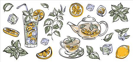 Set of hand drawn lemonade, mint, lemon, ice cubes and teapot. Vector illustration.のイラスト素材