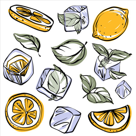 Refreshing summer vector clipart set with mint leaves, citrus slices, and ice cubes. Hand drawn juicy elements in green and yellow. Perfect for drinks, postcards, and cool food designs.のイラスト素材