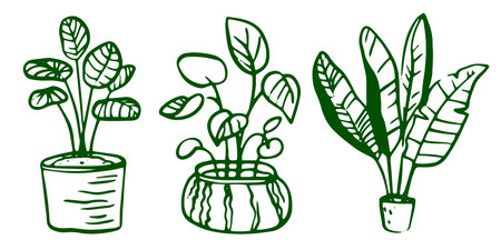 A set of line art illustrations featuring various indoor plants in flowerpots and botanical elements. Includes simple drawings in a minimalist style. Suitable for home decor and gardening concepts.のイラスト素材