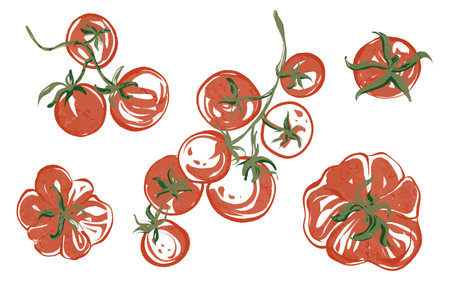 Set of vector illustrations with tomatoes. Vegetables and ingredients for dishes like pasta, pizza, and caprese. Images of fresh, organic tomatoes with on white background for packaging and labels.のイラスト素材