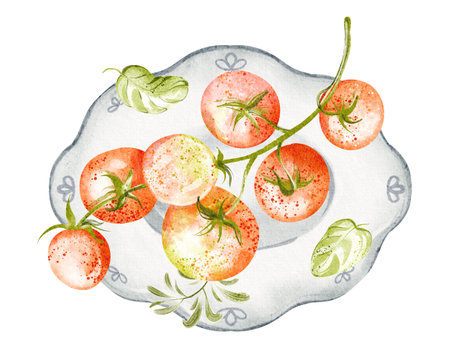 Hand drawn watercolor illustration of ripe branch cherry tomato a on a plate. Includes herbs like parsley and basil, suitable for cooking and healthy diet concepts. Isolated on a white background.の写真素材