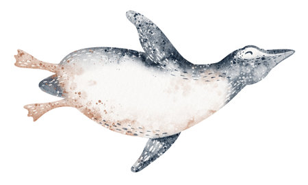 Watercolor penguin in floating pose. Illustration isolated figure for card or poster. Educational drawing for kids learning and aquatic wildlife themes.の写真素材