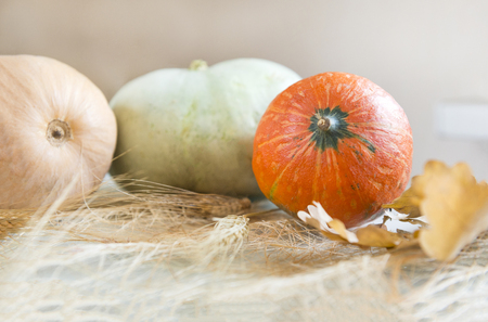 red, green and beige pumpkins, dry leaves, wheat spikelets, autumn vegetables, harvestの写真素材