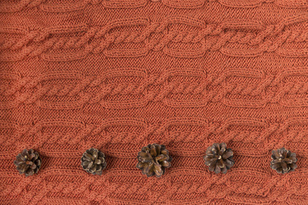 fir cones, red knitted wool sweater,