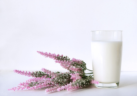 glass of milk, pink lavender flowers on white backgroundの写真素材