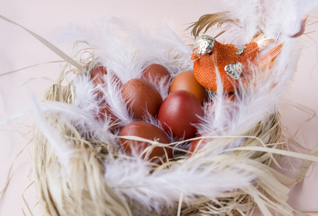 eggs, Easter, nest, bird,  brown Easter eggs, feathers,の写真素材